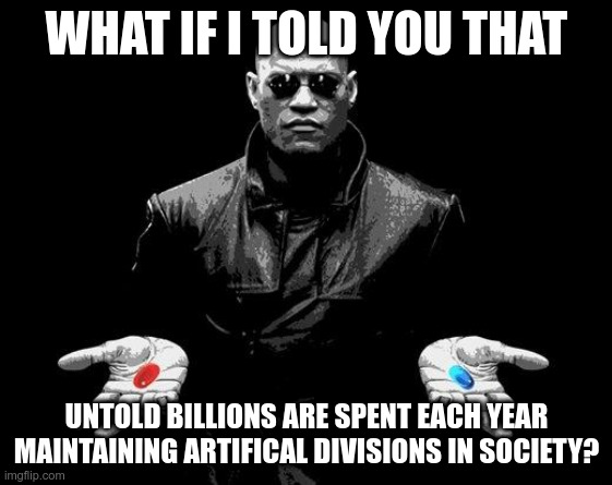 Couldn't we just spend that on something better? |  WHAT IF I TOLD YOU THAT; UNTOLD BILLIONS ARE SPENT EACH YEAR MAINTAINING ARTIFICAL DIVISIONS IN SOCIETY? | image tagged in politically incorrect,we don't care,waste of money | made w/ Imgflip meme maker