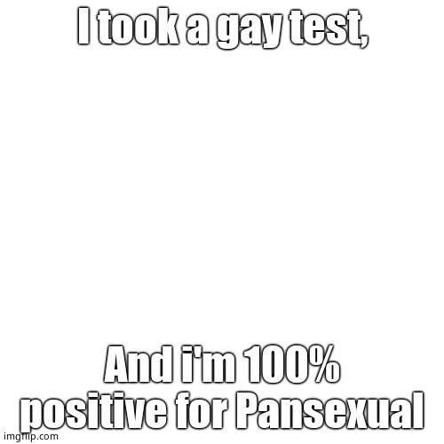 Blank Transparent Square | I took a gay test, And i'm 100% positive for Pansexual | image tagged in memes,blank transparent square | made w/ Imgflip meme maker