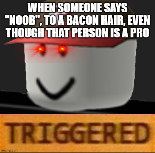 Sorry not sorry |  WHEN SOMEONE SAYS "NOOB", TO A BACON HAIR, EVEN THOUGH THAT PERSON IS A PRO | image tagged in roblox triggered | made w/ Imgflip meme maker