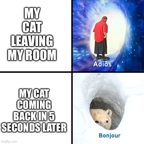 Adios Bonjour | MY CAT LEAVING MY ROOM; MY CAT COMING BACK IN 5 SECONDS LATER | image tagged in adios bonjour | made w/ Imgflip meme maker