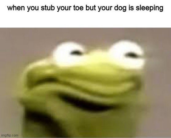 Must not wake up gud boi | when you stub your toe but your dog is sleeping | image tagged in kermit the frog,memes,funny | made w/ Imgflip meme maker