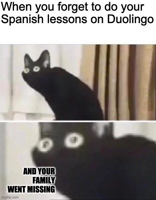 Duolingo: LoOkS LiKe yOu FoRgOt tO dO yOuR sPaNiSh LeSsOnS | When you forget to do your Spanish lessons on Duolingo; AND YOUR FAMILY WENT MISSING | image tagged in oh no black cat | made w/ Imgflip meme maker