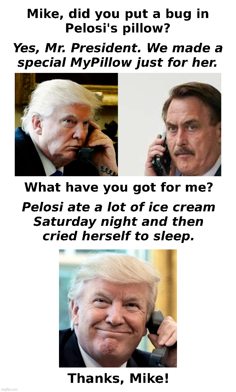 Did Trump Have Pelosi's Pillow Bugged? | image tagged in donald trump,mike lindell,mypillow,nancy pelosi,impeachment,crying democrats | made w/ Imgflip meme maker