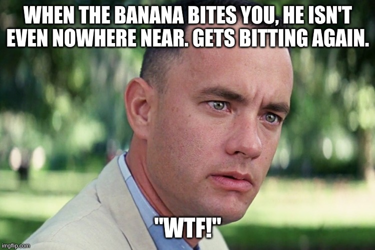 Roblox Banana Eats | WHEN THE BANANA BITES YOU, HE ISN'T EVEN NOWHERE NEAR. GETS BITTING AGAIN. "WTF!" | image tagged in memes,and just like that,roblox,banana eats | made w/ Imgflip meme maker