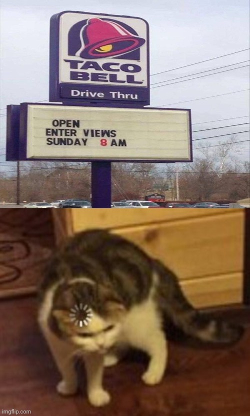Enter views, don't you mean interviews? | image tagged in loading cat,taco bell,you had one job,memes,funny,job interview | made w/ Imgflip meme maker