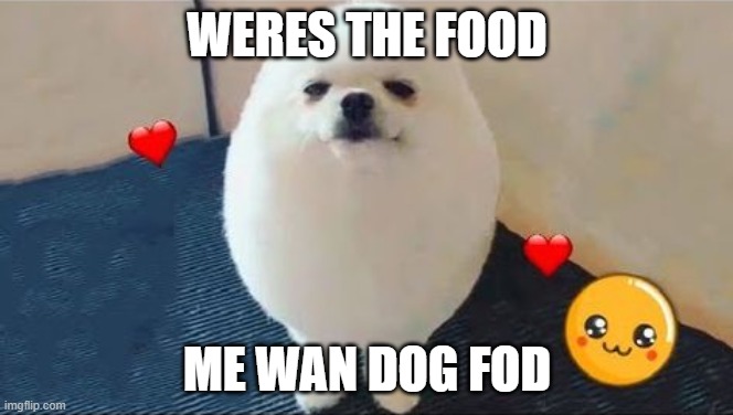 weere ta food | WERES THE FOOD; ME WAN DOG FOD | image tagged in eggdog | made w/ Imgflip meme maker