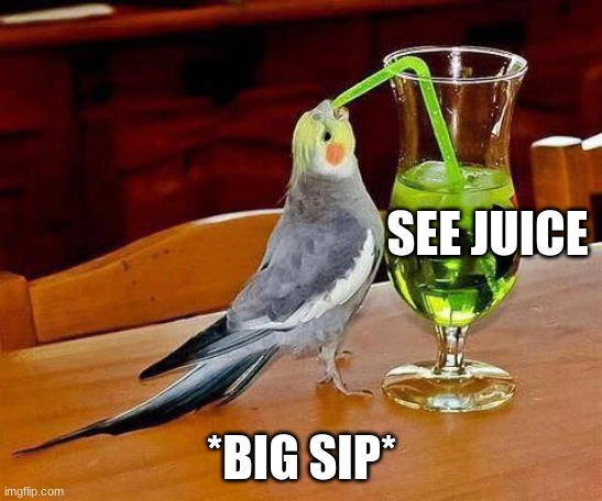Big Sip | SEE JUICE *BIG SIP* | image tagged in big sip | made w/ Imgflip meme maker