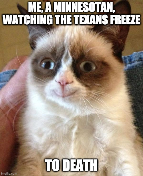 them texans freezing but i'm just cackling | ME, A MINNESOTAN, WATCHING THE TEXANS FREEZE; TO DEATH | image tagged in memes,grumpy cat happy,grumpy cat,freeze,texas,cold | made w/ Imgflip meme maker