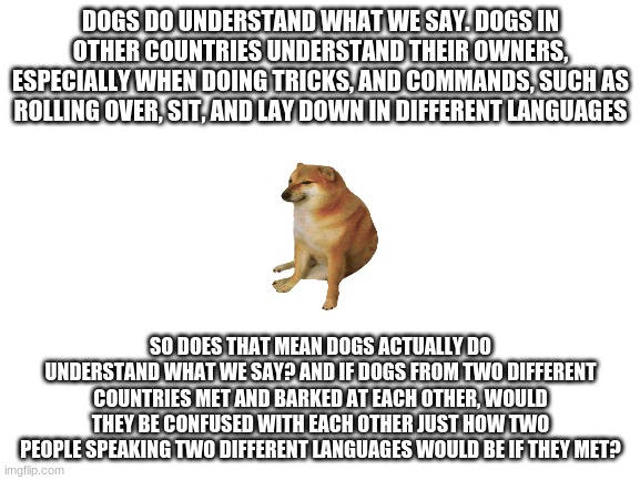 I was just thinking about this the other day. Interesting |  DOGS DO UNDERSTAND WHAT WE SAY. DOGS IN OTHER COUNTRIES UNDERSTAND THEIR OWNERS, ESPECIALLY WHEN DOING TRICKS, AND COMMANDS, SUCH AS ROLLING OVER, SIT, AND LAY DOWN IN DIFFERENT LANGUAGES; SO DOES THAT MEAN DOGS ACTUALLY DO UNDERSTAND WHAT WE SAY? AND IF DOGS FROM TWO DIFFERENT COUNTRIES MET AND BARKED AT EACH OTHER, WOULD THEY BE CONFUSED WITH EACH OTHER JUST HOW TWO PEOPLE SPEAKING TWO DIFFERENT LANGUAGES WOULD BE IF THEY MET? | image tagged in blank white template,language,countries,dogs,hmm,roll safe think about it | made w/ Imgflip meme maker