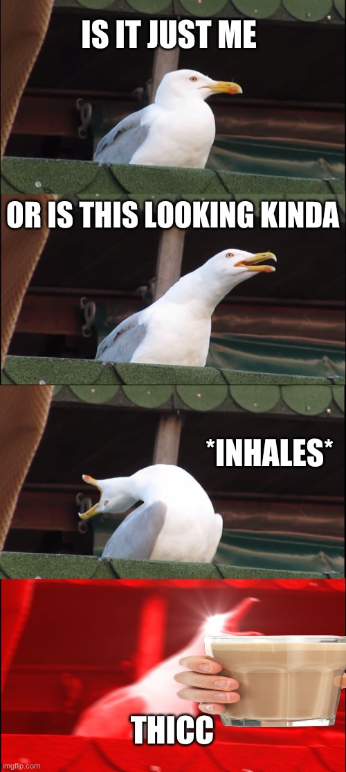 Inhaling Seagull | IS IT JUST ME; OR IS THIS LOOKING KINDA; *INHALES*; THICC | image tagged in memes,inhaling seagull | made w/ Imgflip meme maker