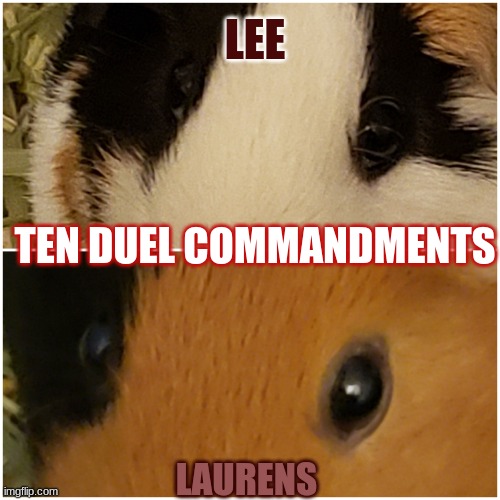 Ten Guinea Commandments | LEE; TEN DUEL COMMANDMENTS; LAURENS | image tagged in guinea pig eyes | made w/ Imgflip meme maker