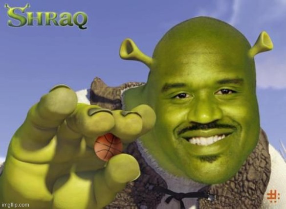 s h r a q | image tagged in memes,funny,shrek | made w/ Imgflip meme maker