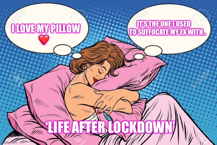 Disposal of an ex | IT’S THE ONE I USED                
  TO SUFFOCATE MY EX WITH.. I LOVE MY PILLOW
                  ❤️; ‘LIFE AFTER LOCKDOWN’ | image tagged in you underestimate my power | made w/ Imgflip meme maker