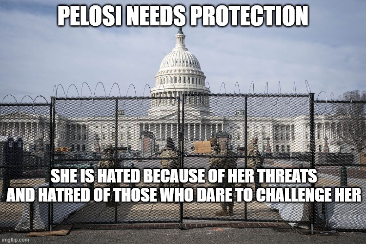 Washington D.C. | PELOSI NEEDS PROTECTION SHE IS HATED BECAUSE OF HER THREATS AND HATRED OF THOSE WHO DARE TO CHALLENGE HER | image tagged in washington d c | made w/ Imgflip meme maker