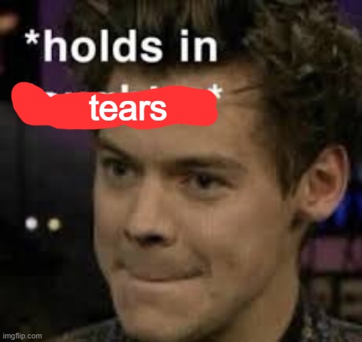 *holds in laughter* | tears | image tagged in holds in laughter | made w/ Imgflip meme maker