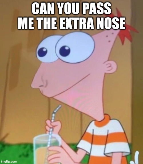 yessir this picture is sexy | CAN YOU PASS ME THE EXTRA NOSE | image tagged in phineas and ferb,sexy man | made w/ Imgflip meme maker