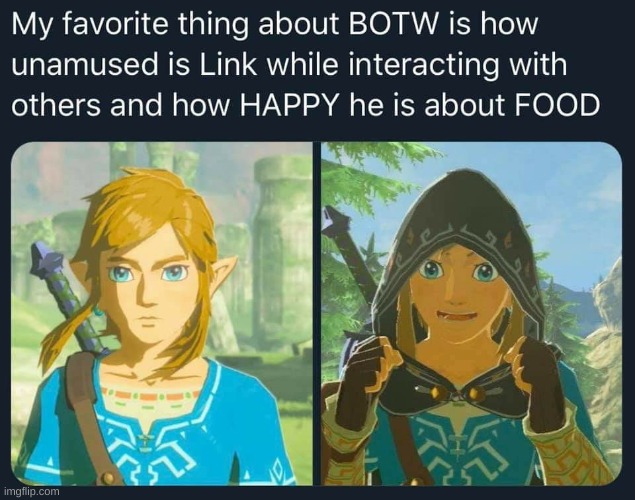 link loves food more than anything | image tagged in the legend of zelda breath of the wild,food | made w/ Imgflip meme maker