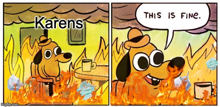 kAReNs | Karens | image tagged in memes,this is fine | made w/ Imgflip meme maker