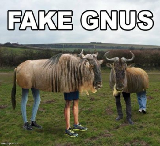 Gnus | image tagged in news,funny | made w/ Imgflip meme maker