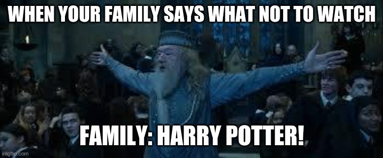 Harry Potter! | WHEN YOUR FAMILY SAYS WHAT NOT TO WATCH; FAMILY: HARRY POTTER! | image tagged in harry potter | made w/ Imgflip meme maker