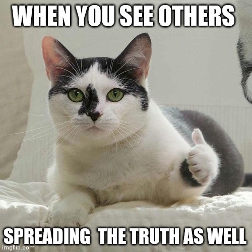 WHEN YOU SEE OTHERS; SPREADING  THE TRUTH AS WELL | image tagged in thumbs up,cat,truth,memes,funny,imgflip users | made w/ Imgflip meme maker