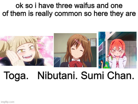 my waifus | ok so i have three waifus and one of them is really common so here they are; Toga.   Nibutani. Sumi Chan. | image tagged in blank white template | made w/ Imgflip meme maker