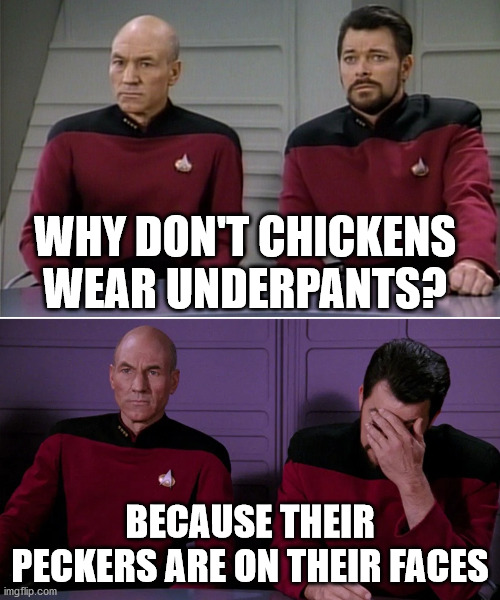 Picard Riker listening to a pun | WHY DON'T CHICKENS WEAR UNDERPANTS? BECAUSE THEIR PECKERS ARE ON THEIR FACES | image tagged in picard riker listening to a pun | made w/ Imgflip meme maker