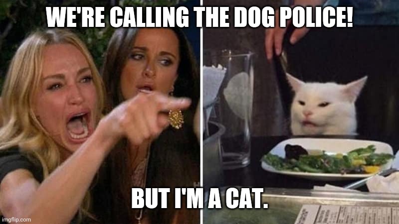 Dog police | WE'RE CALLING THE DOG POLICE! BUT I'M A CAT. | image tagged in girls vs cat | made w/ Imgflip meme maker