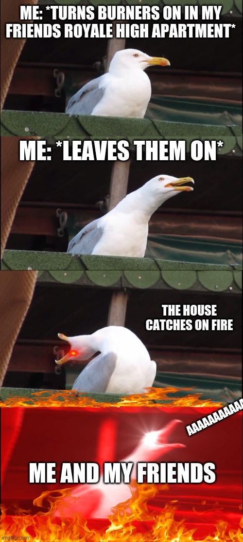 I burned the house down | ME: *TURNS BURNERS ON IN MY FRIENDS ROYALE HIGH APARTMENT*; ME: *LEAVES THEM ON*; THE HOUSE CATCHES ON FIRE; AAAAAAAAAAAAAAAAAAAAAAAAAAAA; ME AND MY FRIENDS | image tagged in memes,inhaling seagull | made w/ Imgflip meme maker