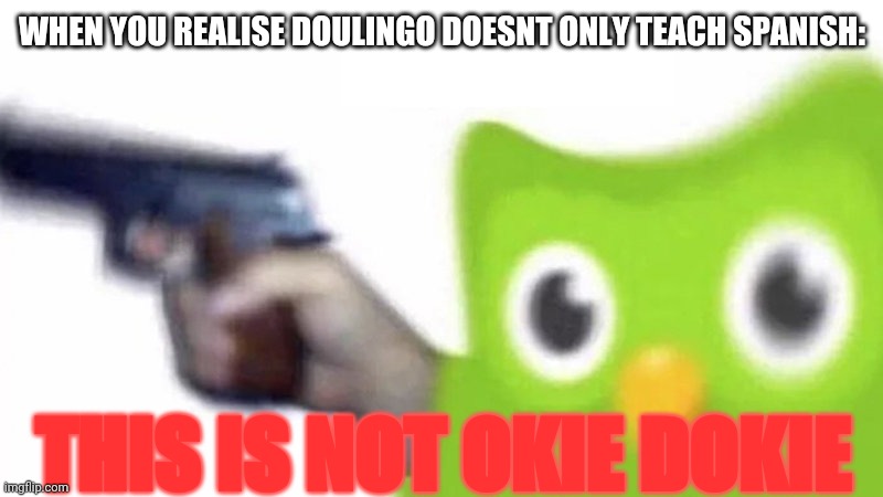 I actually noticed now... Please tell me this is not a well known fact. | WHEN YOU REALISE DOULINGO DOESNT ONLY TEACH SPANISH:; THIS IS NOT OKIE DOKIE | image tagged in duolingo gun,duolingo bird,duolingo,memes,spanish,gun | made w/ Imgflip meme maker