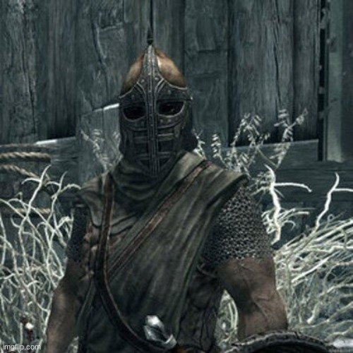 Skyrim guard | image tagged in skyrim guard | made w/ Imgflip meme maker