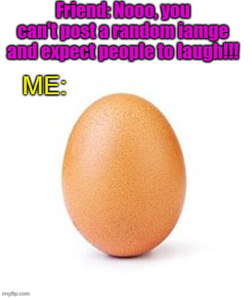 lol | Friend: Nooo, you can't post a random iamge and expect people to laugh!!! ME: | image tagged in egg,funny,nooo haha go brrr | made w/ Imgflip meme maker