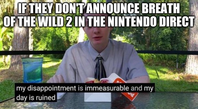 my day is ruined and my disappointment is immeasurable | IF THEY DON'T ANNOUNCE BREATH OF THE WILD 2 IN THE NINTENDO DIRECT | image tagged in my day is ruined and my disappointment is immeasurable | made w/ Imgflip meme maker
