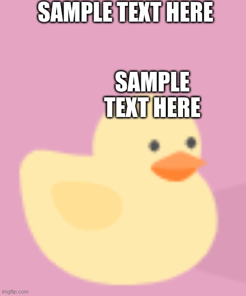 Duck | SAMPLE TEXT HERE; SAMPLE TEXT HERE | image tagged in duck,quack | made w/ Imgflip meme maker