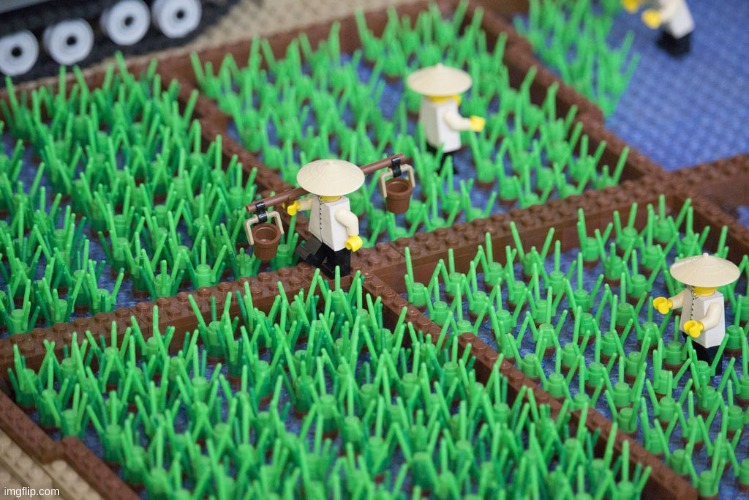 lego rice fields | image tagged in memes,funny,lego,rice | made w/ Imgflip meme maker