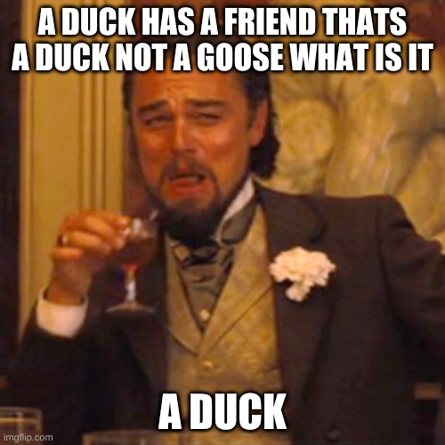 Laughing Leo Meme | A DUCK HAS A FRIEND THATS A DUCK NOT A GOOSE WHAT IS IT; A DUCK | image tagged in memes,laughing leo | made w/ Imgflip meme maker