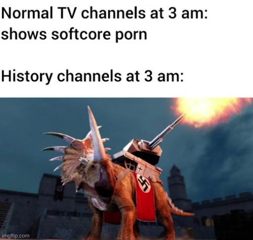 nobody's gonna see this :( | image tagged in history channel | made w/ Imgflip meme maker
