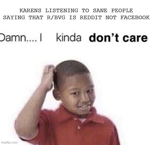 damn i kinda dont have a brain | KARENS LISTENING TO SANE PEOPLE SAYING THAT R/BVG IS REDDIT NOT FACEBOOK | image tagged in damn i kinda dont care,anti gamers are retarded,barney will eat all of your delectable biscuits | made w/ Imgflip meme maker