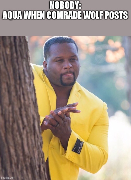 Black guy hiding behind tree | NOBODY:
AQUA WHEN COMRADE WOLF POSTS | image tagged in black guy hiding behind tree | made w/ Imgflip meme maker