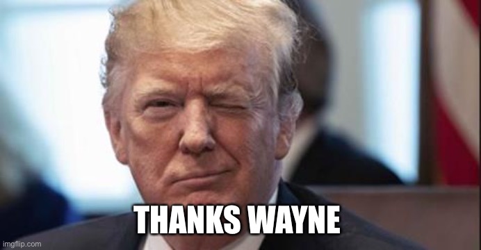Trump wink | THANKS WAYNE | image tagged in trump wink | made w/ Imgflip meme maker
