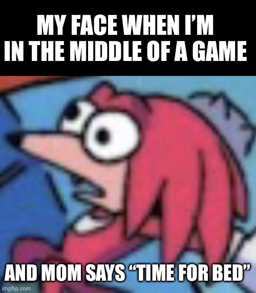 Mom let me finish! | MY FACE WHEN I’M IN THE MIDDLE OF A GAME; AND MOM SAYS “TIME FOR BED” | image tagged in knuckles go huh,gaming,moms | made w/ Imgflip meme maker