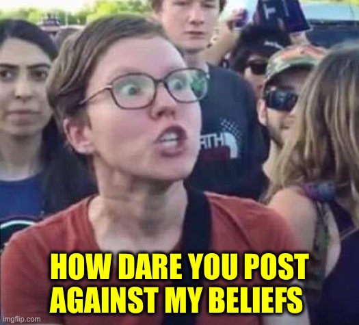 Angry Liberal | HOW DARE YOU POST
AGAINST MY BELIEFS | image tagged in angry liberal | made w/ Imgflip meme maker