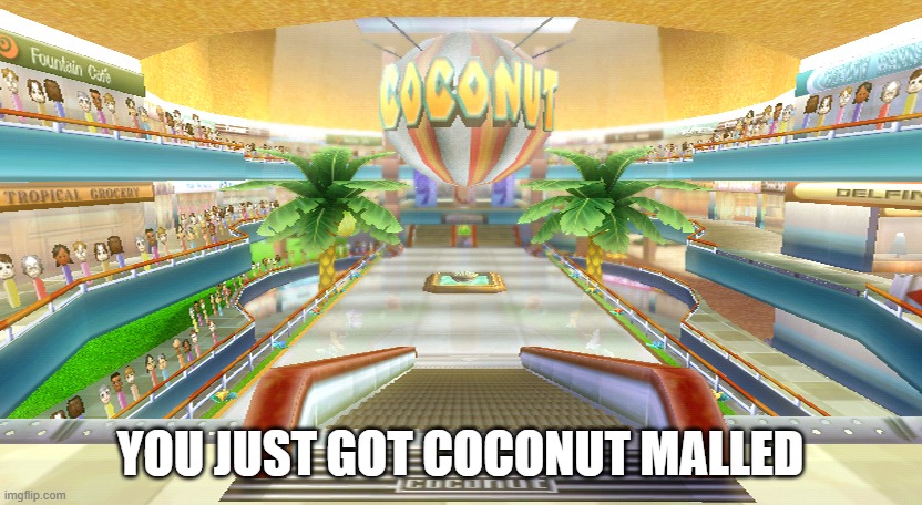 Coconut Mall | YOU JUST GOT COCONUT MALLED | image tagged in funny | made w/ Imgflip meme maker
