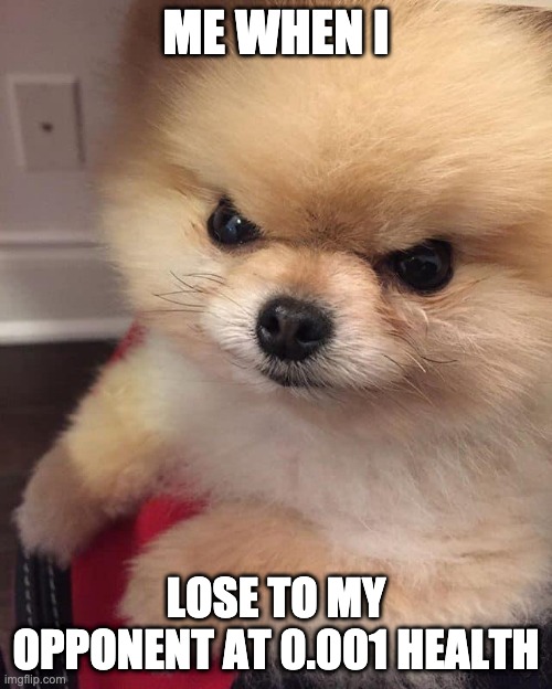 Angry Pomeranian | ME WHEN I; LOSE TO MY OPPONENT AT 0.001 HEALTH | image tagged in angry pomeranian | made w/ Imgflip meme maker