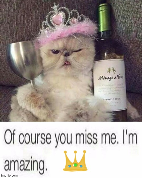 Celebrating | image tagged in cats are awesome | made w/ Imgflip meme maker