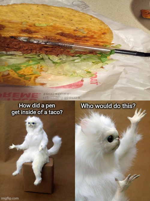 A pen inside of a taco | How did a pen get inside of a taco? Who would do this? | image tagged in memes,persian cat room guardian,pen,taco,taco bell,you had one job | made w/ Imgflip meme maker
