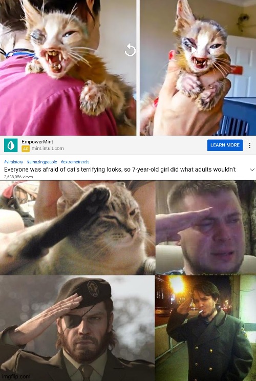 She is a legend | image tagged in ozon's salute,7 year old girl,cat,injured,youtube,terrifying | made w/ Imgflip meme maker