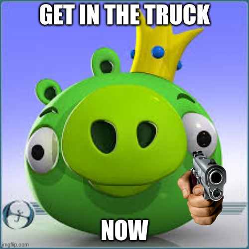 pig | GET IN THE TRUCK; NOW | image tagged in funny memes | made w/ Imgflip meme maker