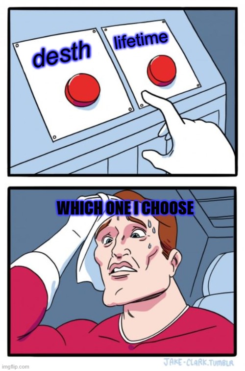 Two Buttons | lifetime; desth; WHICH ONE I CHOOSE | image tagged in memes,two buttons | made w/ Imgflip meme maker