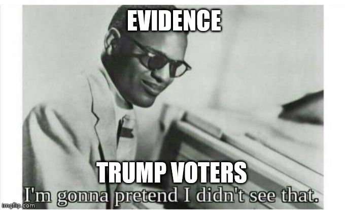 Im gonna pretend i didnt see that | EVIDENCE; TRUMP VOTERS | image tagged in im gonna pretend i didnt see that | made w/ Imgflip meme maker